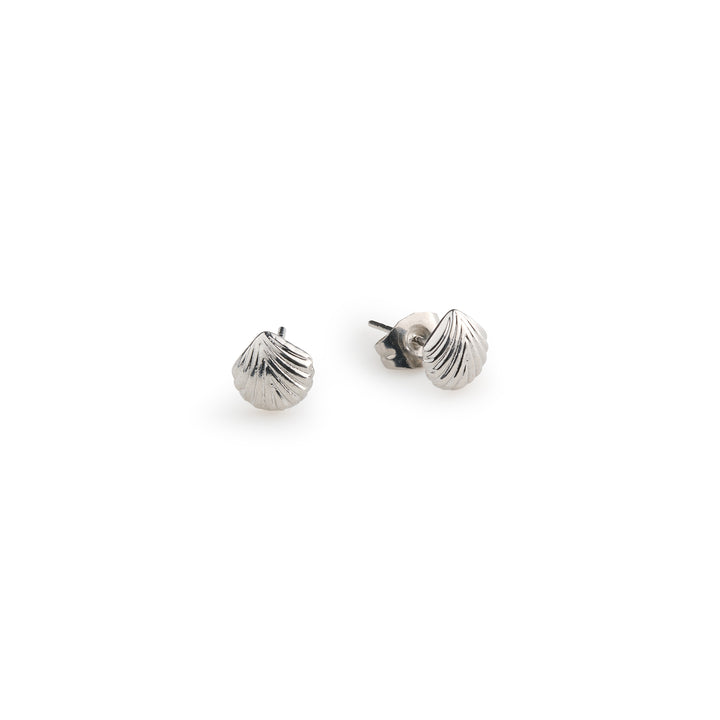 Ane – Muschel Ohrstecker Edelstahl