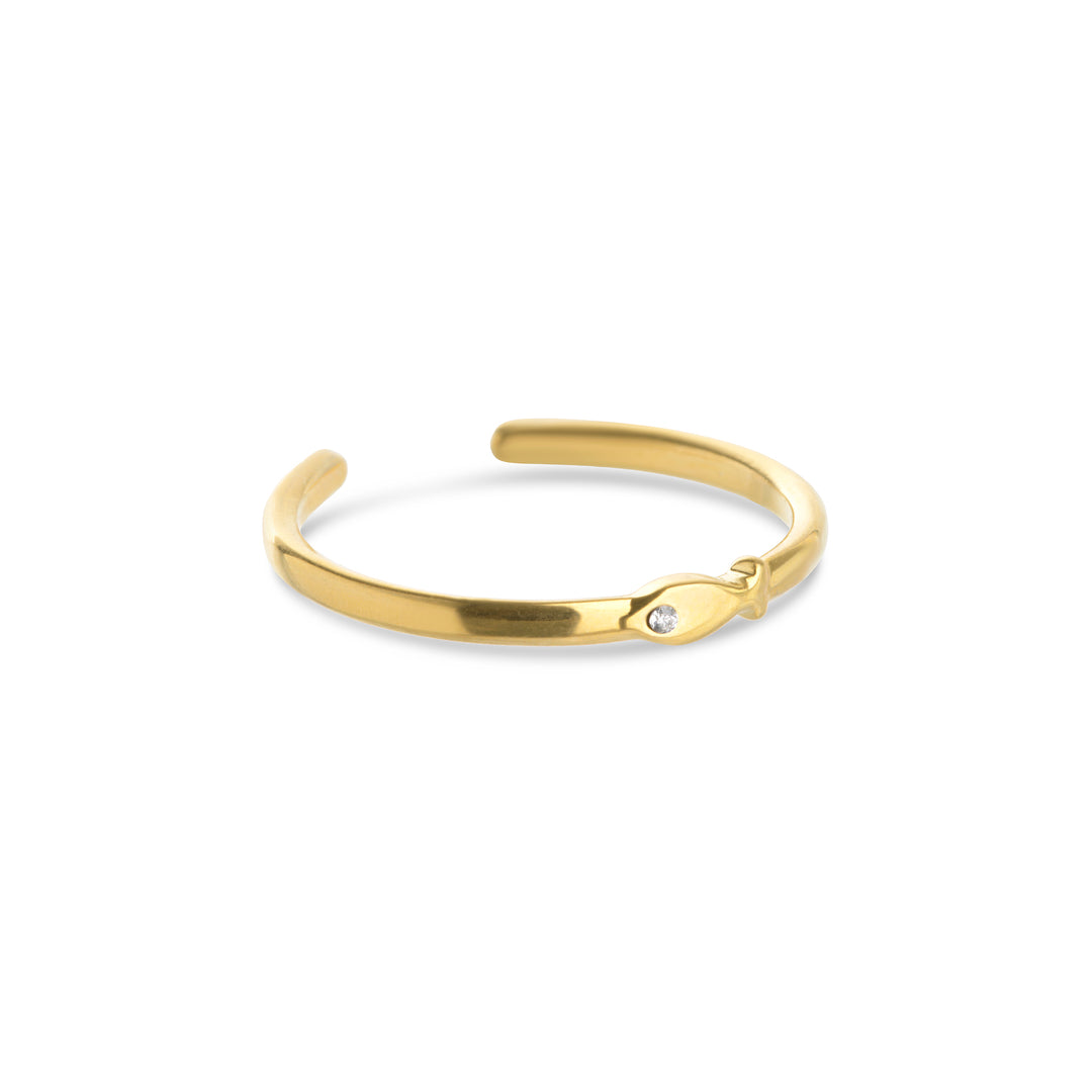 Aruba – Fischring aus Edelstahl