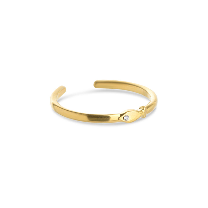 Aruba – Fischring aus Edelstahl