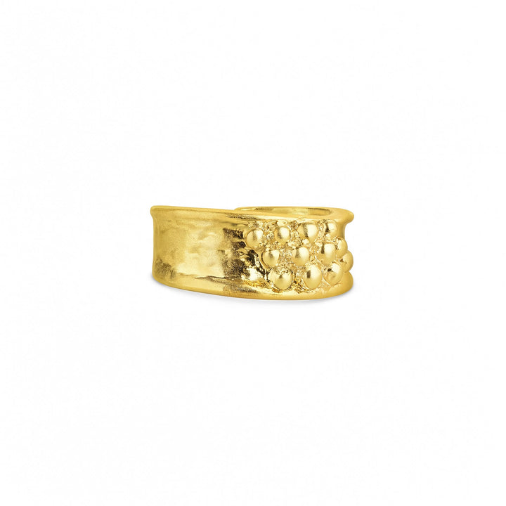 Iben – Statement-Ring aus Edelstahl, Gold | Timi of Sweden