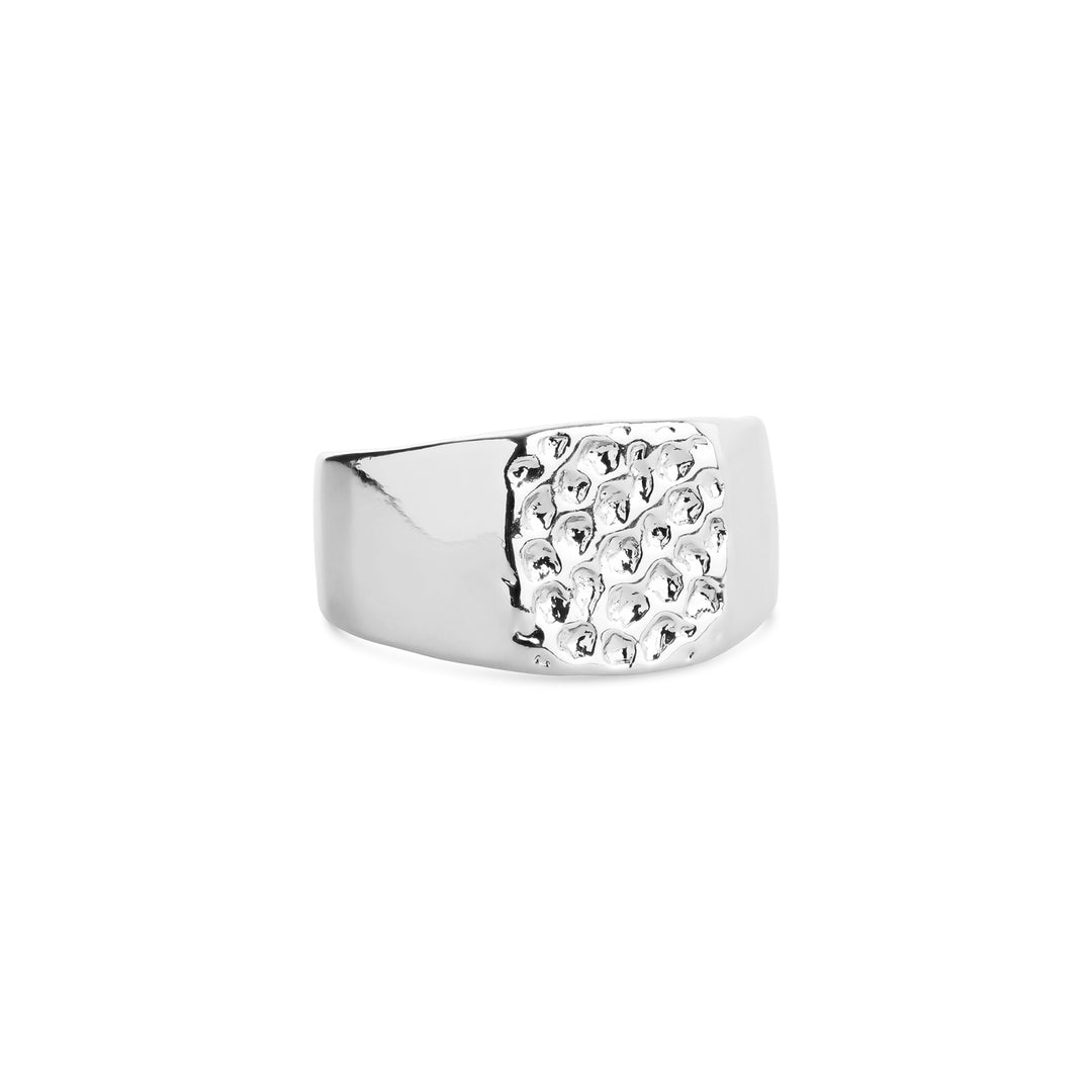 Blythe – Siegelring aus Edelstahl, Silber | Timi of Sweden