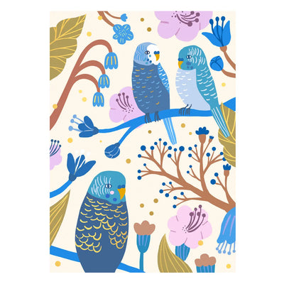 Budgie Postcard