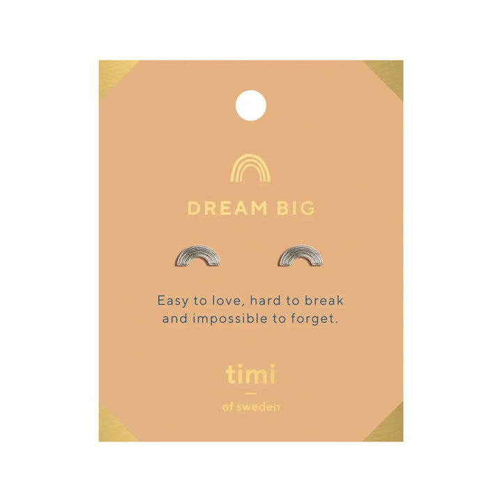 Dream Big Rainbow Earrings Silver