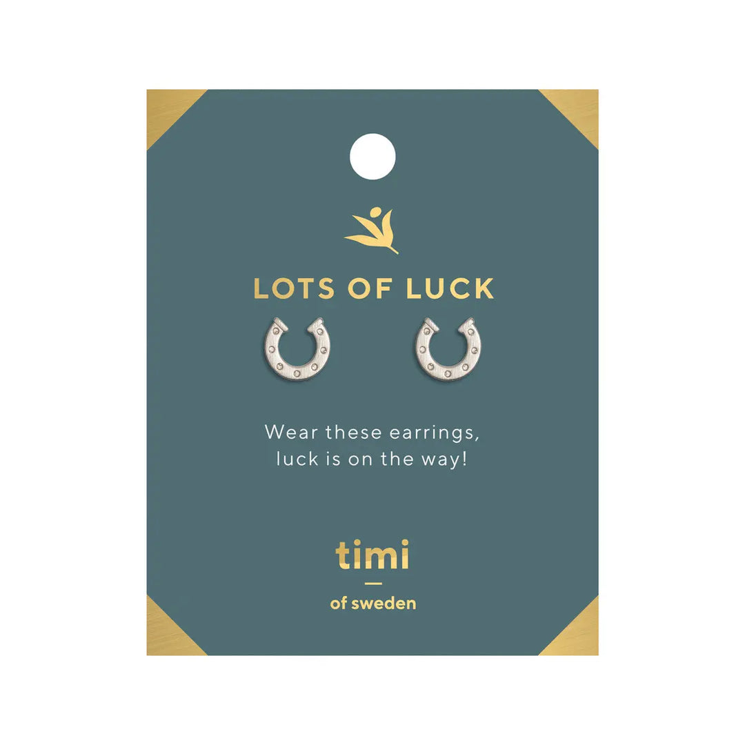 Lots of Luck Horse shoe Earrings Silver